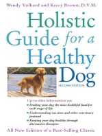 Holistic Guide for a Healthy Dog