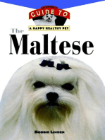 The Maltese: An Owner's Guide to a Happy Healthy Pet