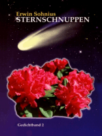 Sternschnuppen: Gedichteband 2