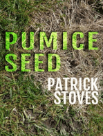 Pumice Seed