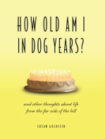 How Old Am I in Dog Years?