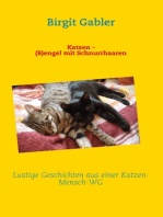 Katzen - (B)engel mit Schnurrhaaren