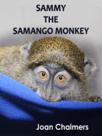 Sammy the Samango Monkey