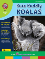 Kute Kuddly Koalas