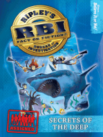 Ripley's RBI 04