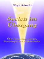 Seelen im Übergang: Über Verstorbene, Geister, Besetzungen und Walk-In-Seelen