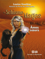 Le Schisme des Mages 2 : Âmes soeurs