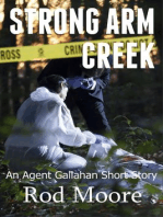 Strong Arm Creek: Agent Gallahan, #1