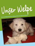 Unser Welpe