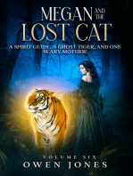 Megan and The Lost Cat