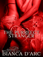 The Purrfect Stranger