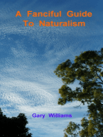A Fanciful Guide to Naturalism