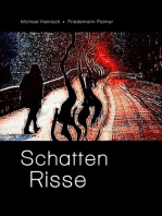Schatten Risse