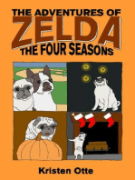 The Adventures of Zelda