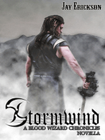 The Blood Wizard Chronicles Novella: Stormwind