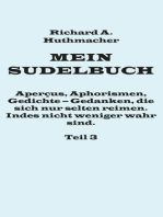 Mein Sudelbuch, Teil 3: Aperçus, Aphorismen, Gedichte – Gedanken, die sich nur selten reimen. Indes nicht weniger wahr sind.