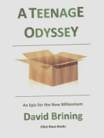 A Teenage Odyssey