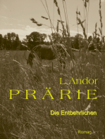 Prärie