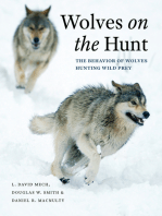Wolves on the Hunt: The Behavior of Wolves Hunting Wild Prey