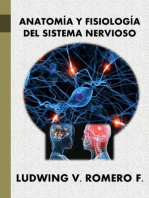 Anatomia y Fisiología del Sistema Nervioso II