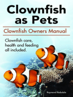 Clownfish as pets. Clown Fish owners manual. Clownfish care, health and feeding all included.