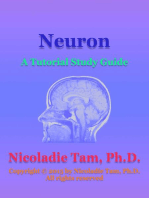 Neuron: A Tutorial Study Guide
