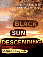 Black Sun Descending
