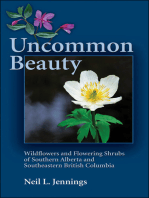 Uncommon Beauty