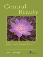 Central Beauty: Wildflowers and Flowering Shrubs of the Southern Interior of British Columbia