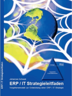 ERP / IT Strategieleitfaden