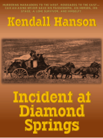 Incident at Diamond Springs