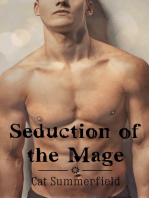 Seduction of the Mage