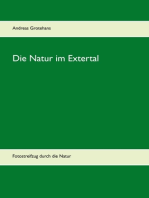 Die Natur im Extertal