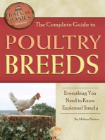 The Complete Guide to Poultry Breeds