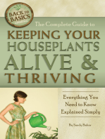 The Complete Guide to Keeping Your Houseplants Alive and Thriving