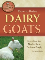 How to Raise Dairy Goats