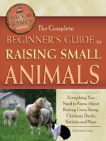 The Complete Beginner's Guide to Raising Small Animals: Everything You Need to Know About Raising Cows, Sheep, Chickens, Ducks, Rabbits, and More