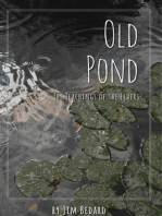 Old Pond