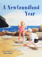 A Newfoundland Year