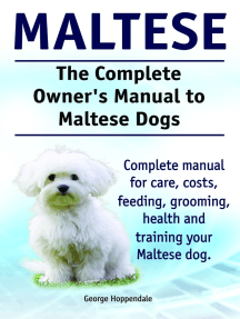 maltese grooming cost