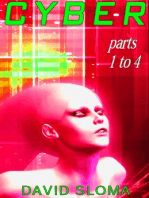 Cyber - Parts 1 to 4