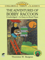 The Adventures of Bobby Raccoon