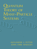 Quantum Theory of Many-Particle Systems