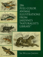 286 Full-Color Animal Illustrations: From Jardine's "Naturalist's Library"