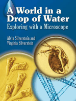 A World in a Drop of Water: Exploring with a Microscope