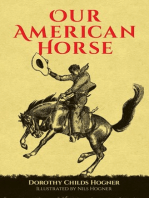 Our American Horse