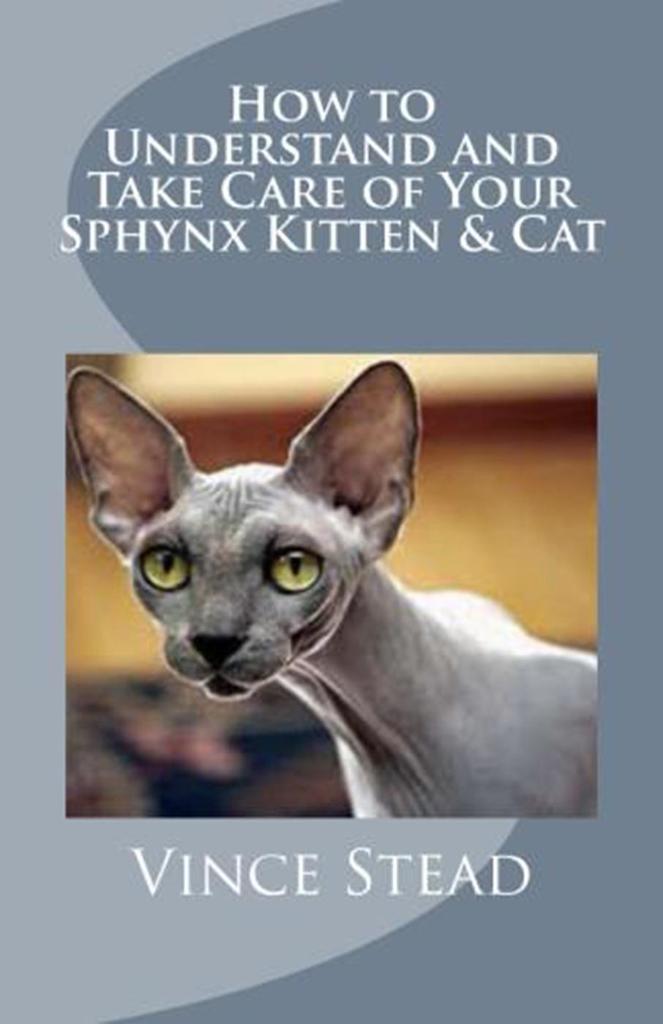 How to Understand and Take Care of Your Sphynx Kitten & Cat by Vince