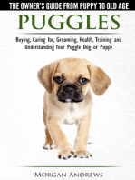 Puggles: The Owner’s Guide from Puppy to Old Age - Choosing, Caring for, Grooming, Health, Training and Understanding Your Puggle Dog or Puppy