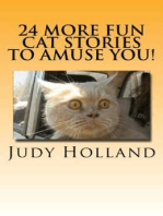 24 More Fun Cat Stories To Amuse You!