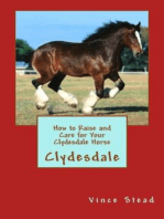 How to Raise and Care for Your Clydesdale Horse